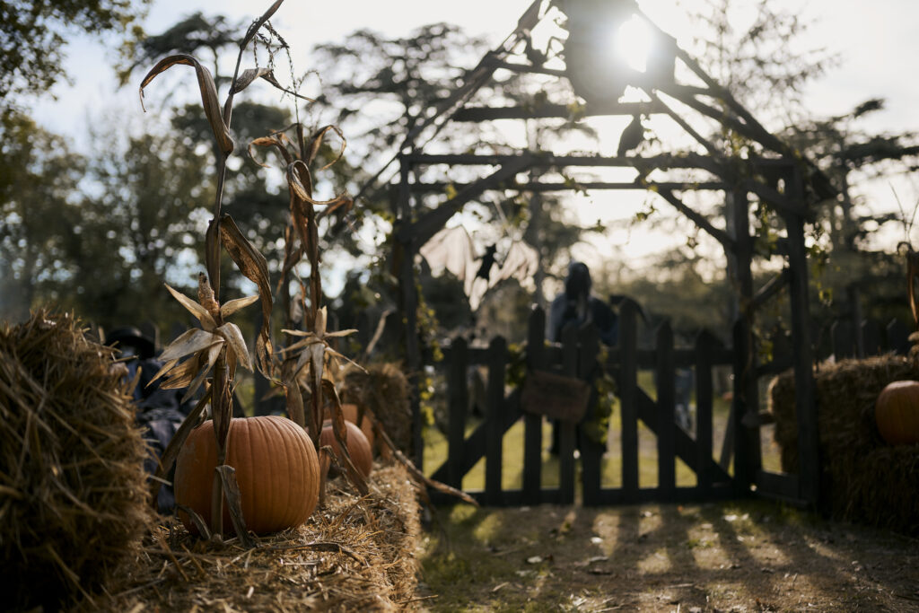 Fêtez Halloween à Walygator Sud-Ouest :